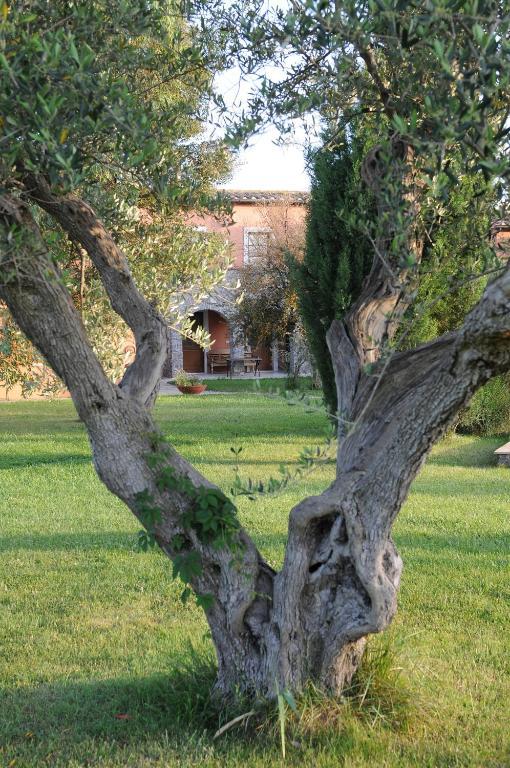 Relais Le Ginestre Villa ซาตูร์เนีย ภายนอก รูปภาพ